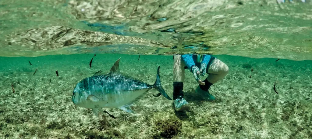 Cosmoledo Atoll Scuba Diving Experience
