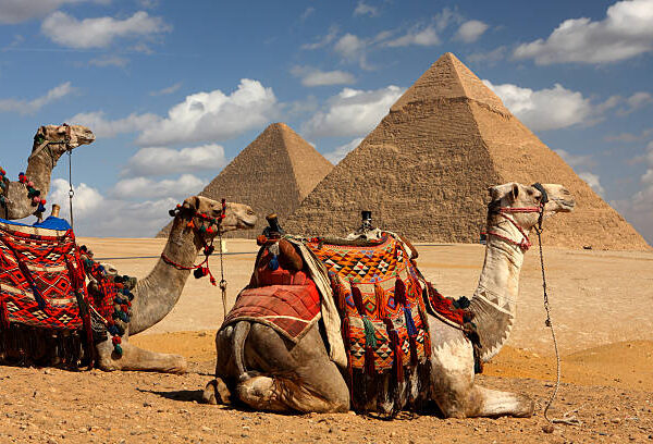 9 Days Egypt Safari