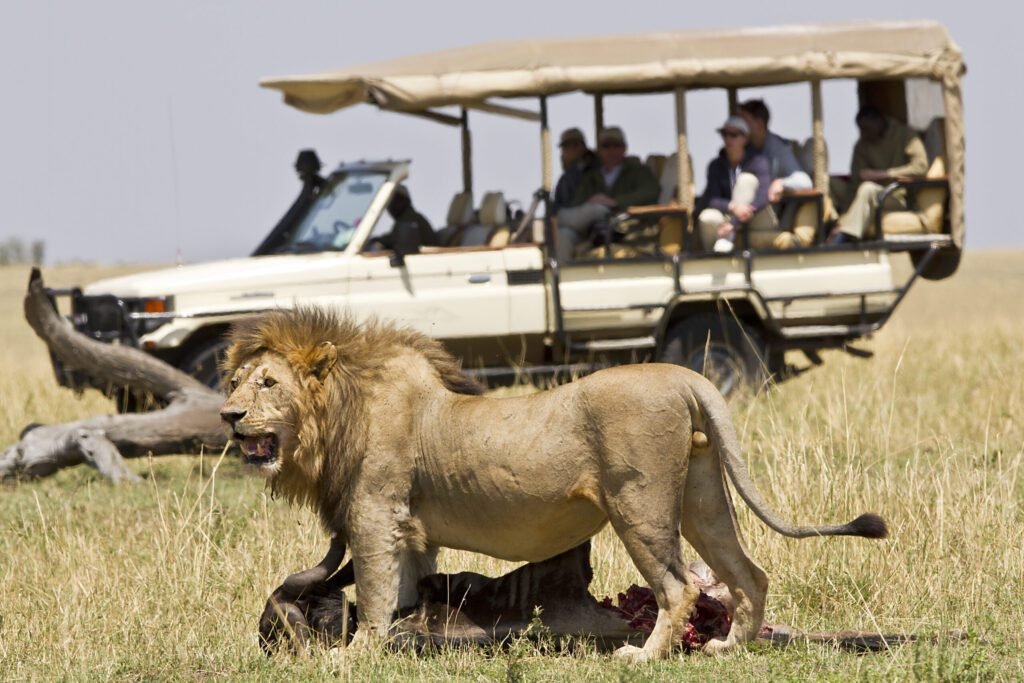 9 Days Botswana Luxury Safari