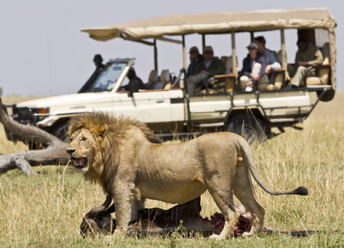 9 Days Botswana Luxury Safari