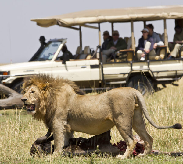 4 Days Serengeti Affordable Safari