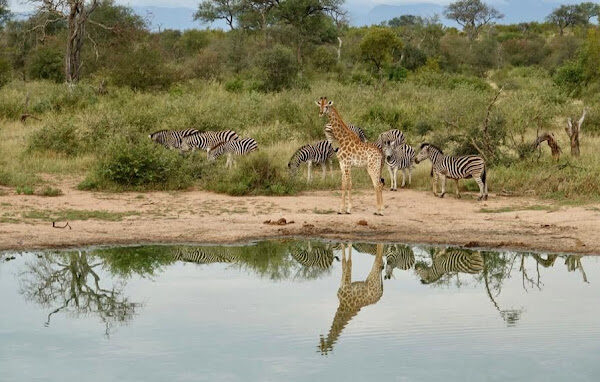 7 Days South Africa and Mozambique Beach