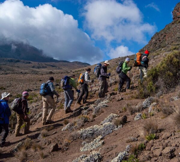 8 Days Kilimanjaro Hike