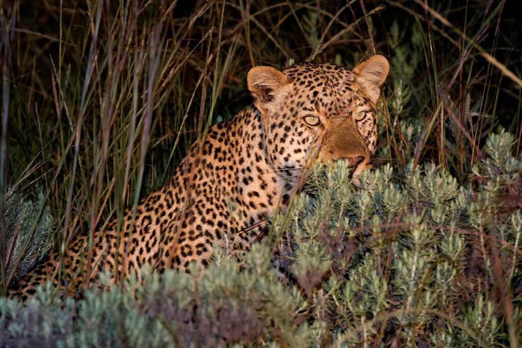 12 Days Malawi Adventure