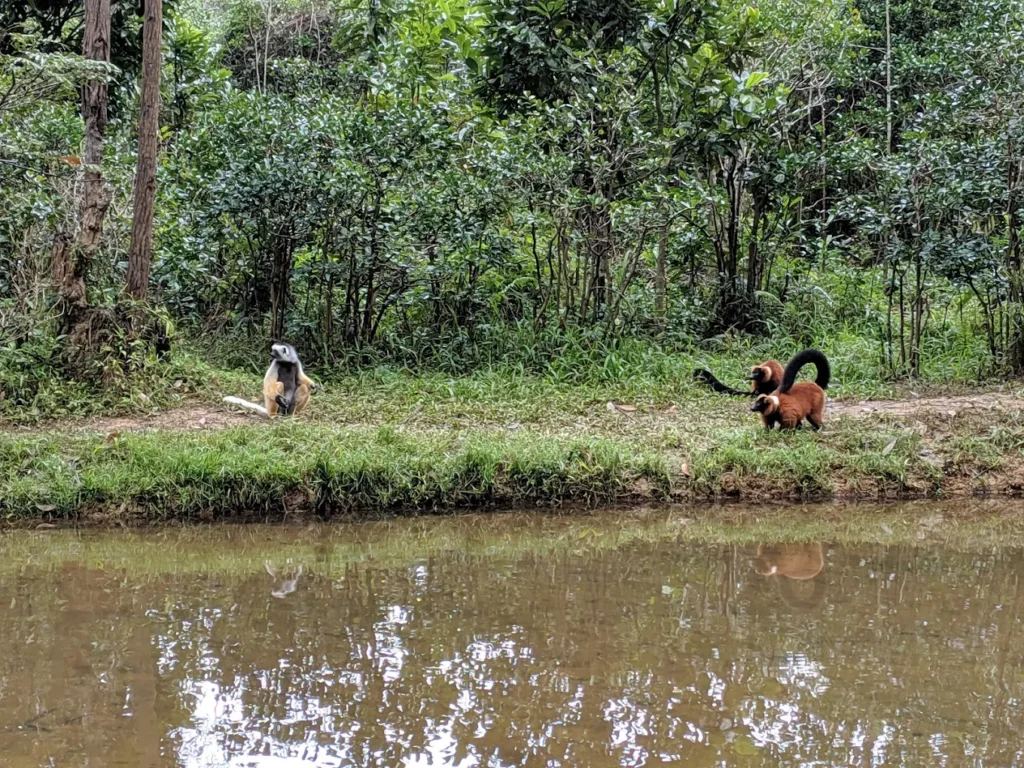 End of the 12 Days Madagascar Tour
