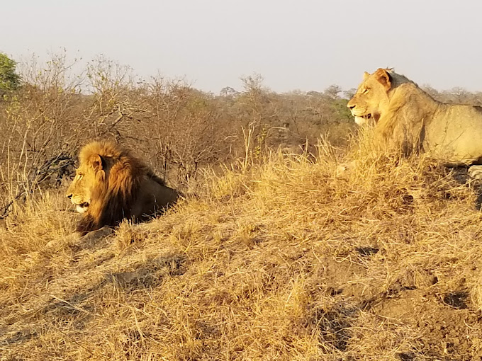 Sabi Sand Nature Reserve