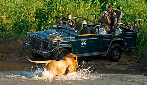10 Days South Africa Safari
