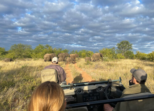 8 Days Namibia Self Drive Safari