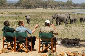 13 Days Luxury Malawi Safari