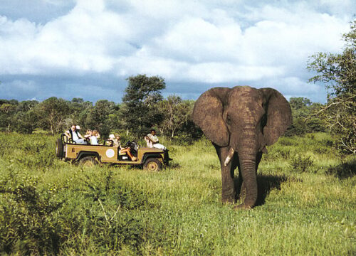 4 Days South Africa Wildlife Safari