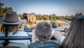 11 Days South Africa Family Adventure