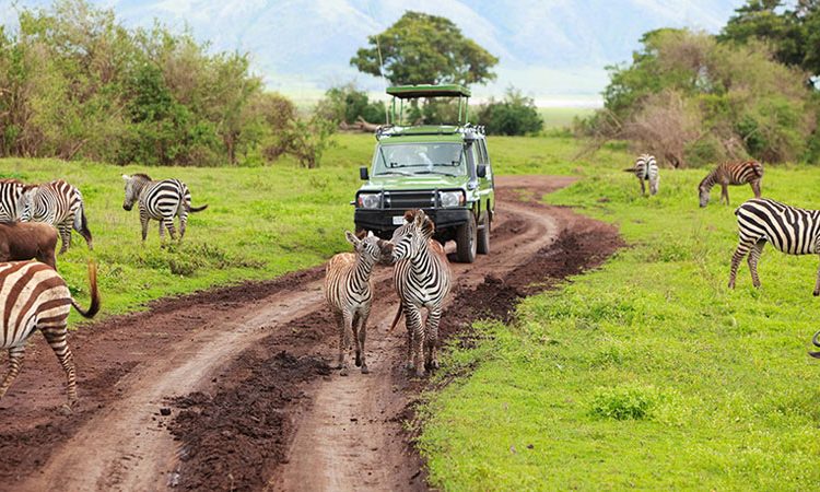 Dubai and Uganda Trips