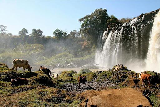 5 Days Ethiopia Northern Historic Route