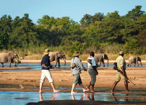 4 Days South Luangwa National Park Safari