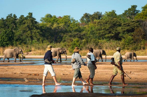 4 Days South Luangwa National Park Safari