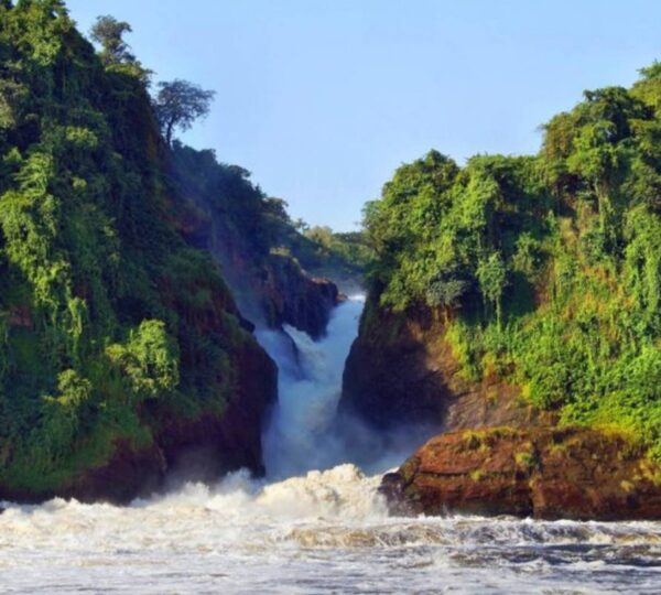 4-Day Murchison Falls and Jinja Safari