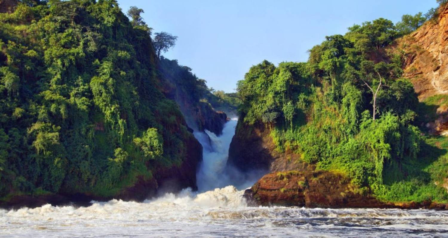 5 Days Murchison Falls and Gorilla Trekking