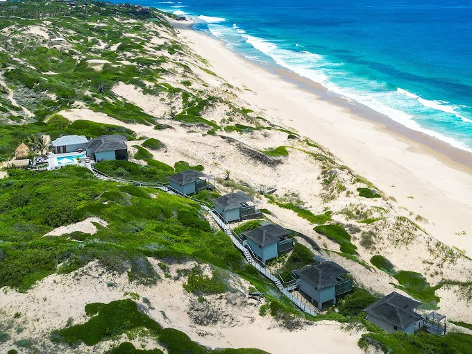 9 Days Mozambique Safari