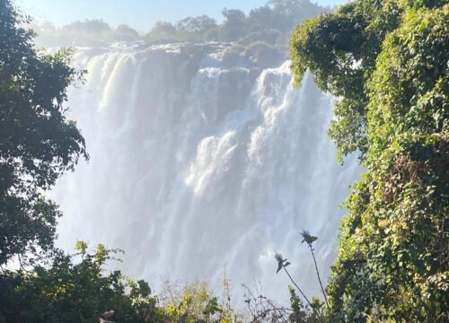 5 Days Victoria Falls and Hwange National Park