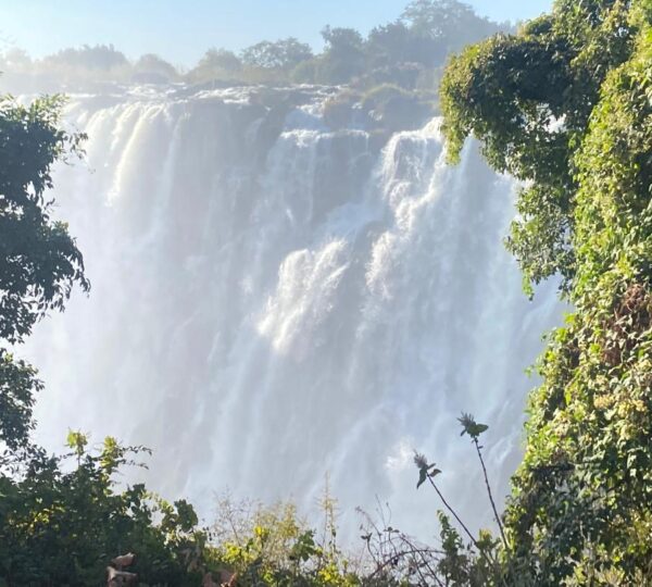 4 Days Fly-in Victoria Falls Tour