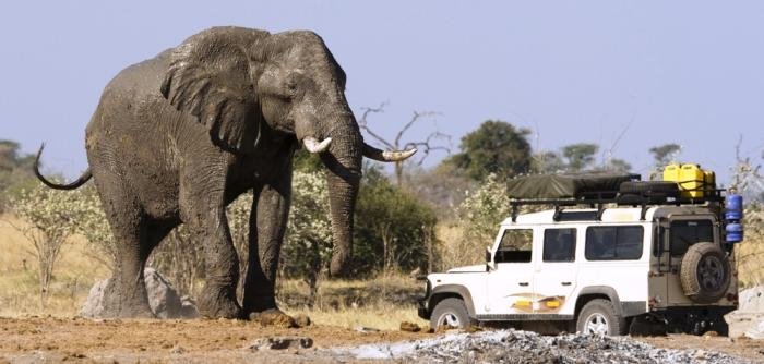 10 Days Zambezi and Victoria Falls Safari | Best of Zambia and Zimbabwe