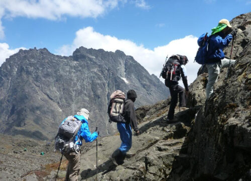 7 Days Gorilla and Chimp Trekking, Wildlife and Rwenzori