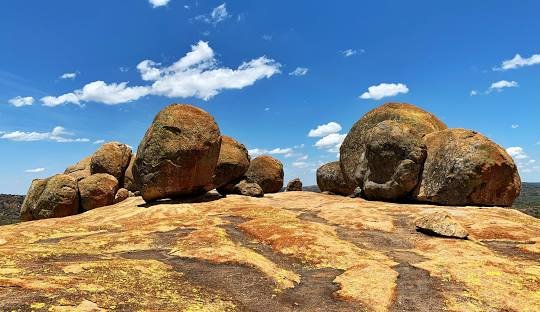 10 Days Zimbabwe Wildlife Safari