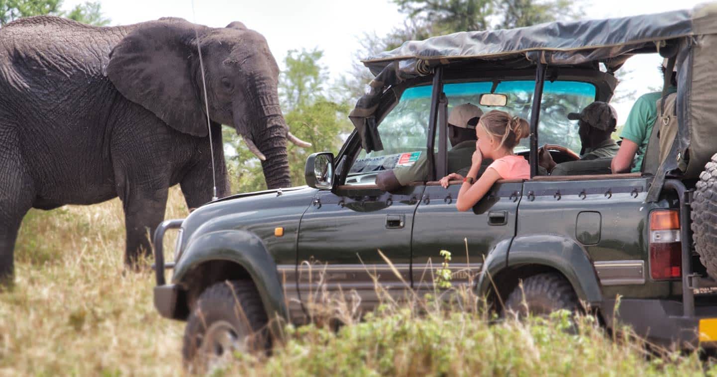 Ultimate Serengeti National Park Safari Guide – Wildlife, Insider Tips & Best Tours

