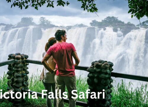 Victoria Falls with Uganda Extension Safari