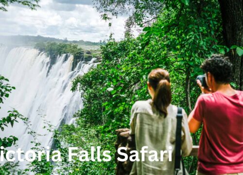 Victoria Falls Safari with Kenya Extension