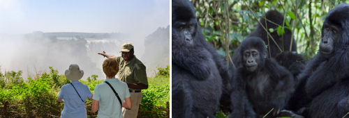 Victoria Falls and Gorilla Trekking