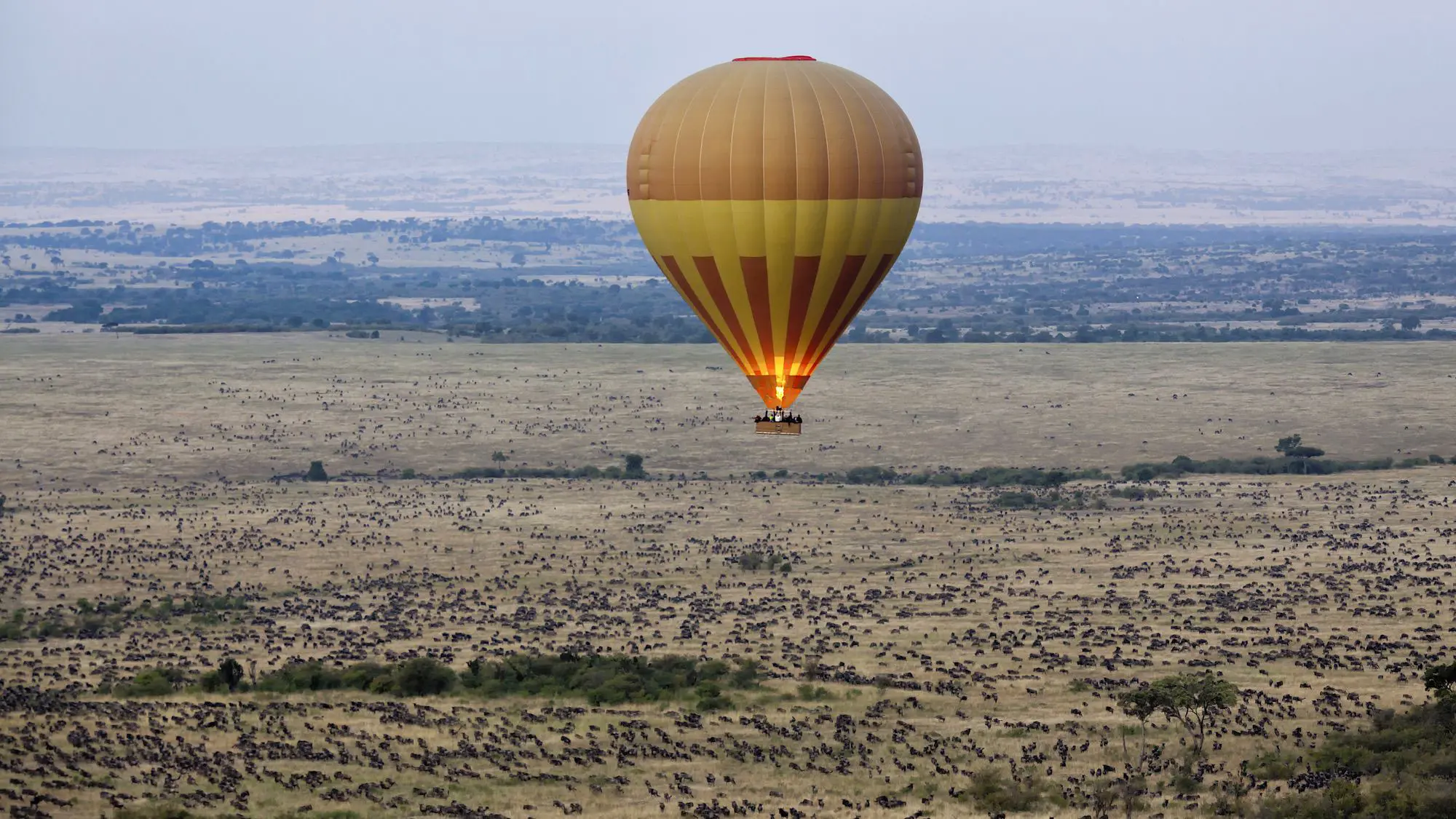 Hot air balloon safari experience in Uganda