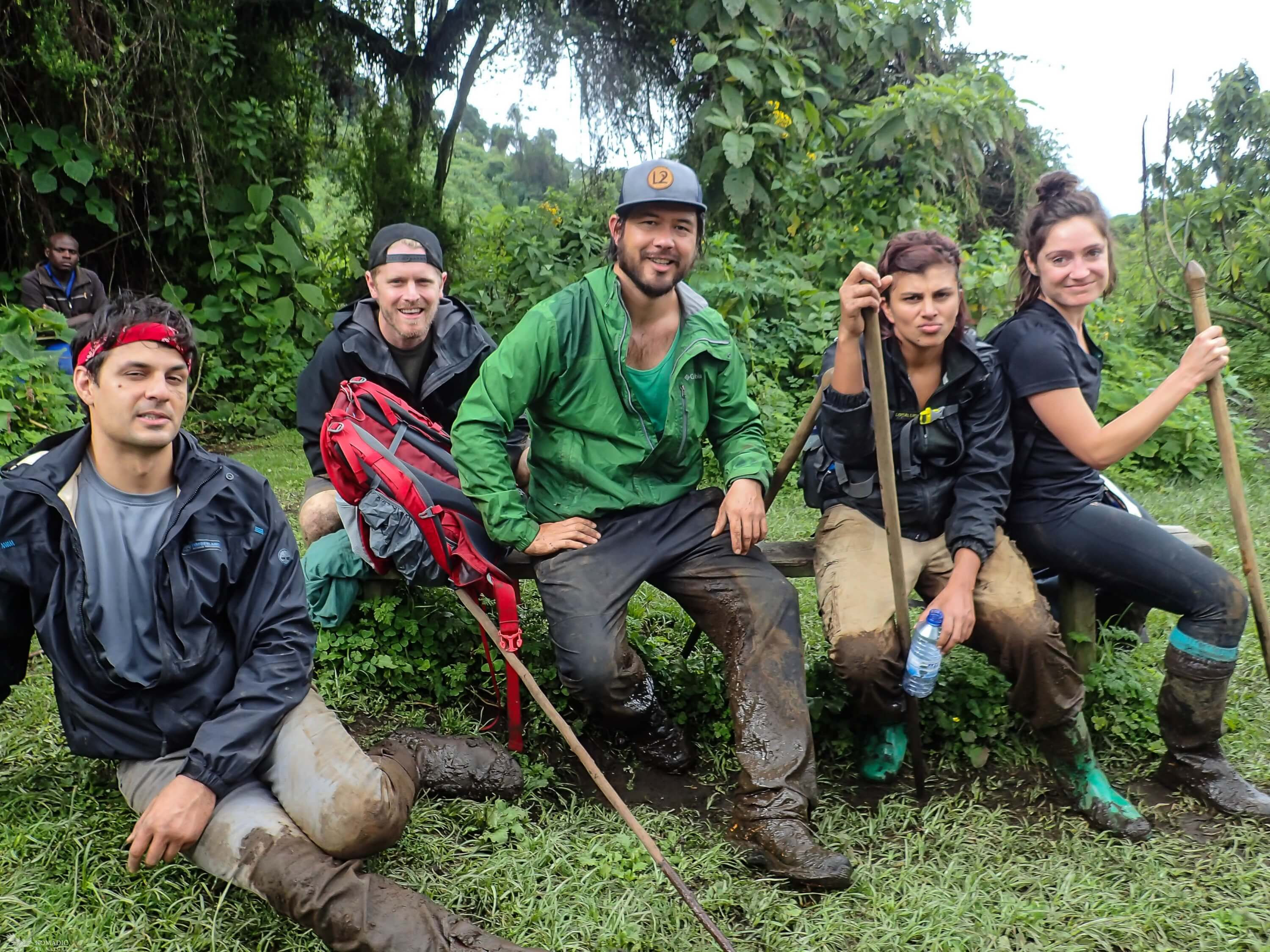 Best Time to Go Gorilla Trekking in Rwanda