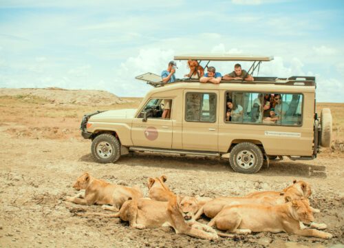 4 Days Queen Elizabeth and Lake Mburo Group Joining Safari | Uganda Wildlife Adventure (2025–2028)