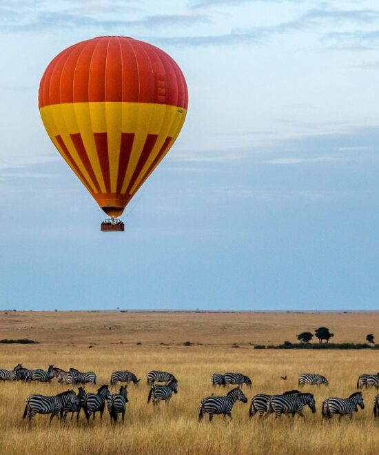 The Great Wildebeest Migration Safari