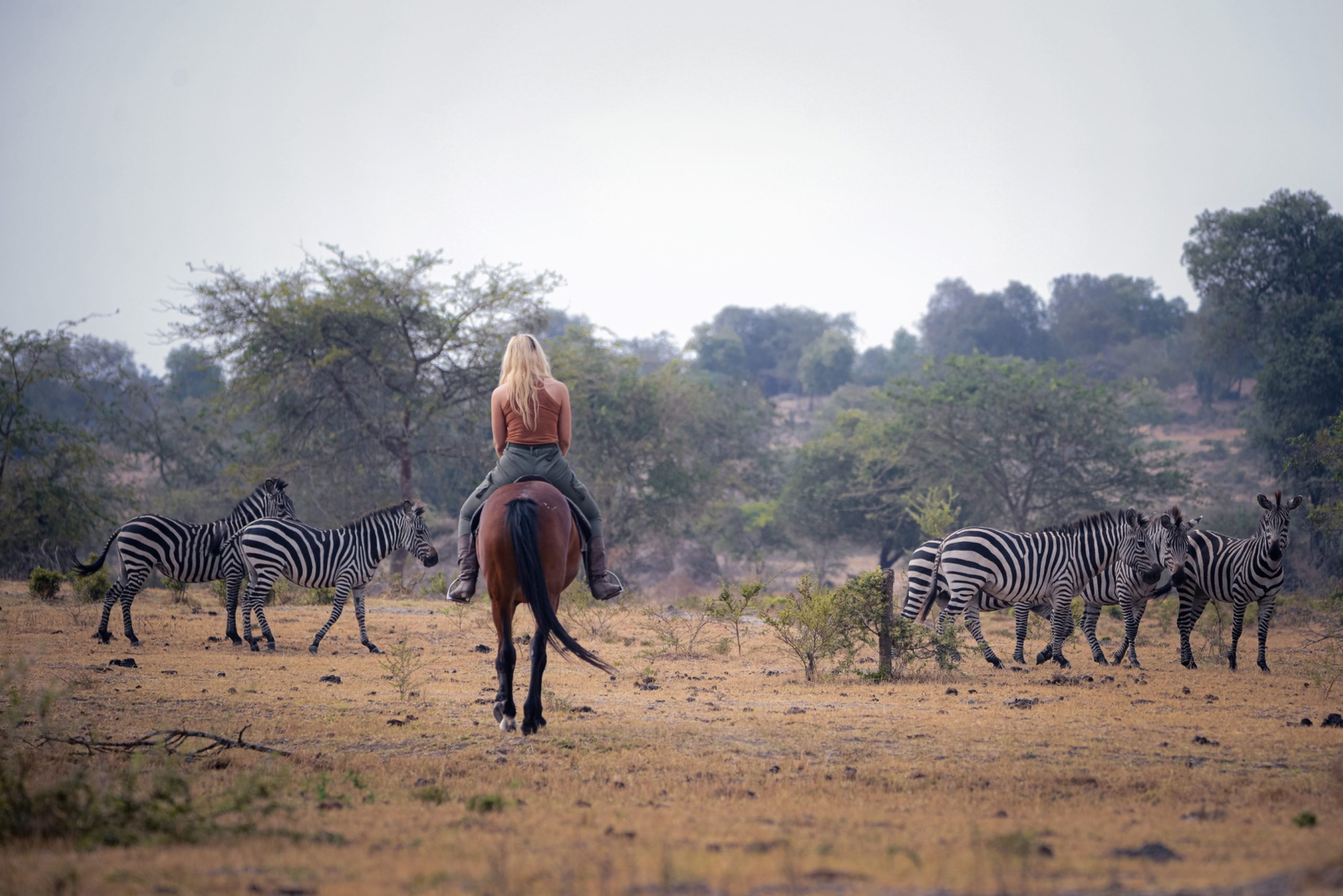 Luxury Christmas Safari in Uganda