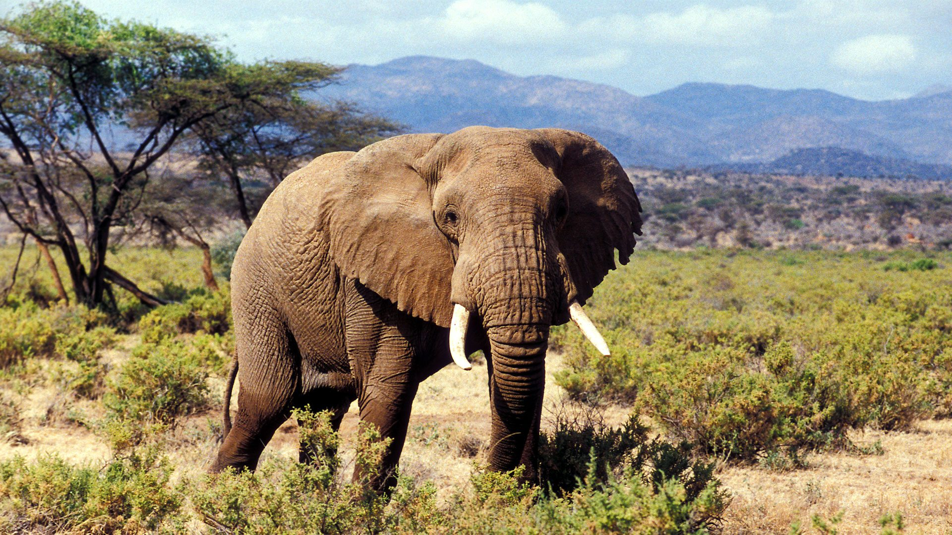 7 Days Murchison Falls