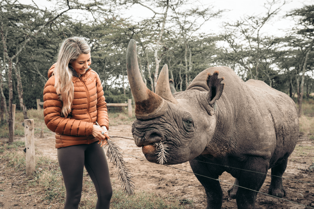 Ol Pejeta Conservancy full day