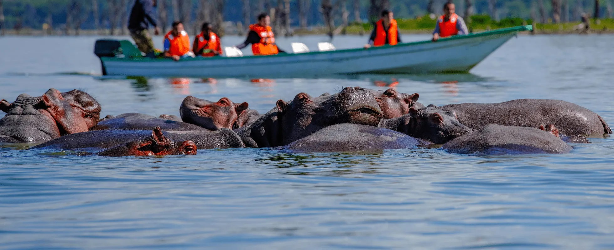 8 Days Uganda Gorilla and Chimpanzee Safari