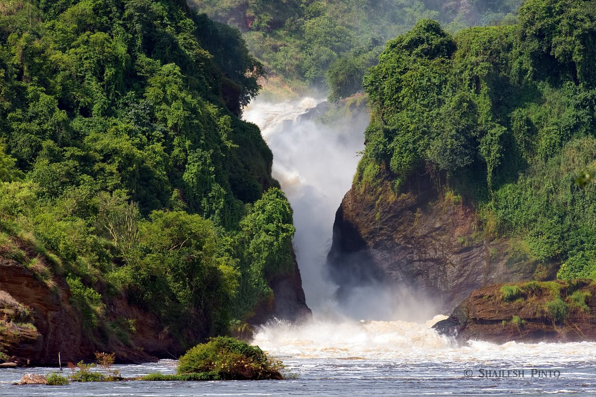 2-Day Murchison Falls Safari - Game Drive and Nile Cruise