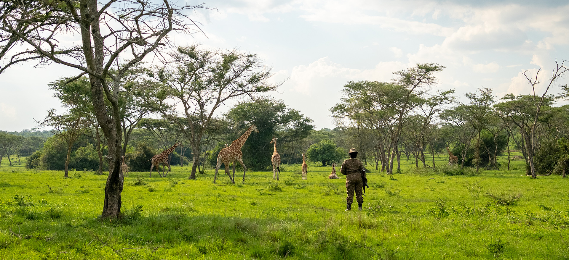 Lake Mburo National Park Uganda - Wildlife Viewing Safaris on your way to Bwindi Impenetrable National Park
