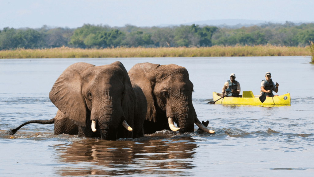 10 Days Victoria Falls Safari