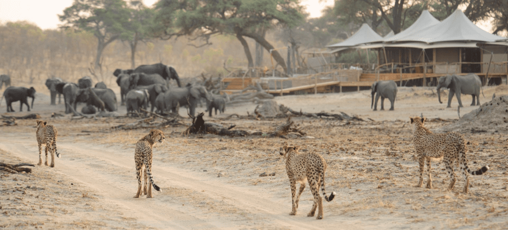 10 Days Victoria Falls Safari