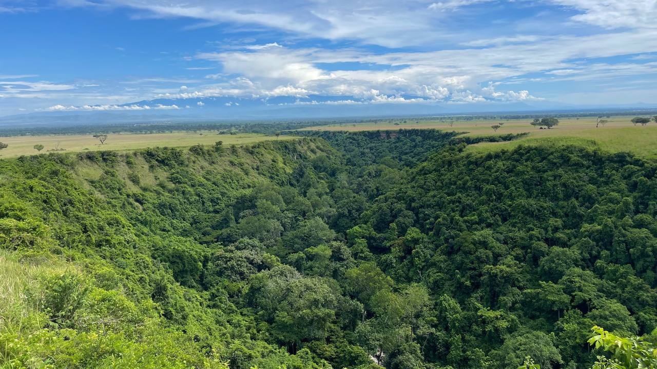 Chimpanzee Trekking in Kyambura Gorge