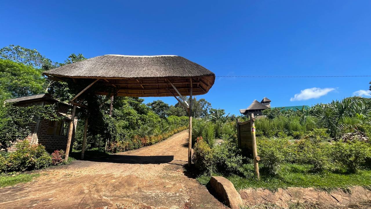 Accommodation Options on a 10 Days Uganda Safari with Direct Websites Links