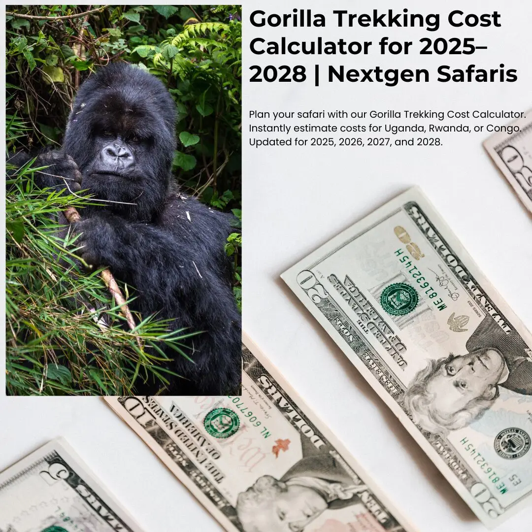Gorilla Trekking Cost Calculator for 2025–2028 | Nextgen Safaris