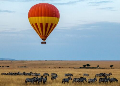 14 Days Great Migration and Zanzibar Island Safari
