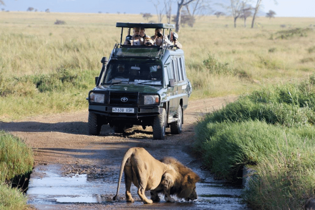 3 Days Akagera National Park Wildlife Safari | Best Rwanda Game Drive and Boat Tour