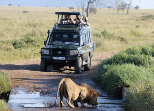 3 Days Akagera National Park Wildlife Safari | Best Rwanda Game Drive and Boat Tour