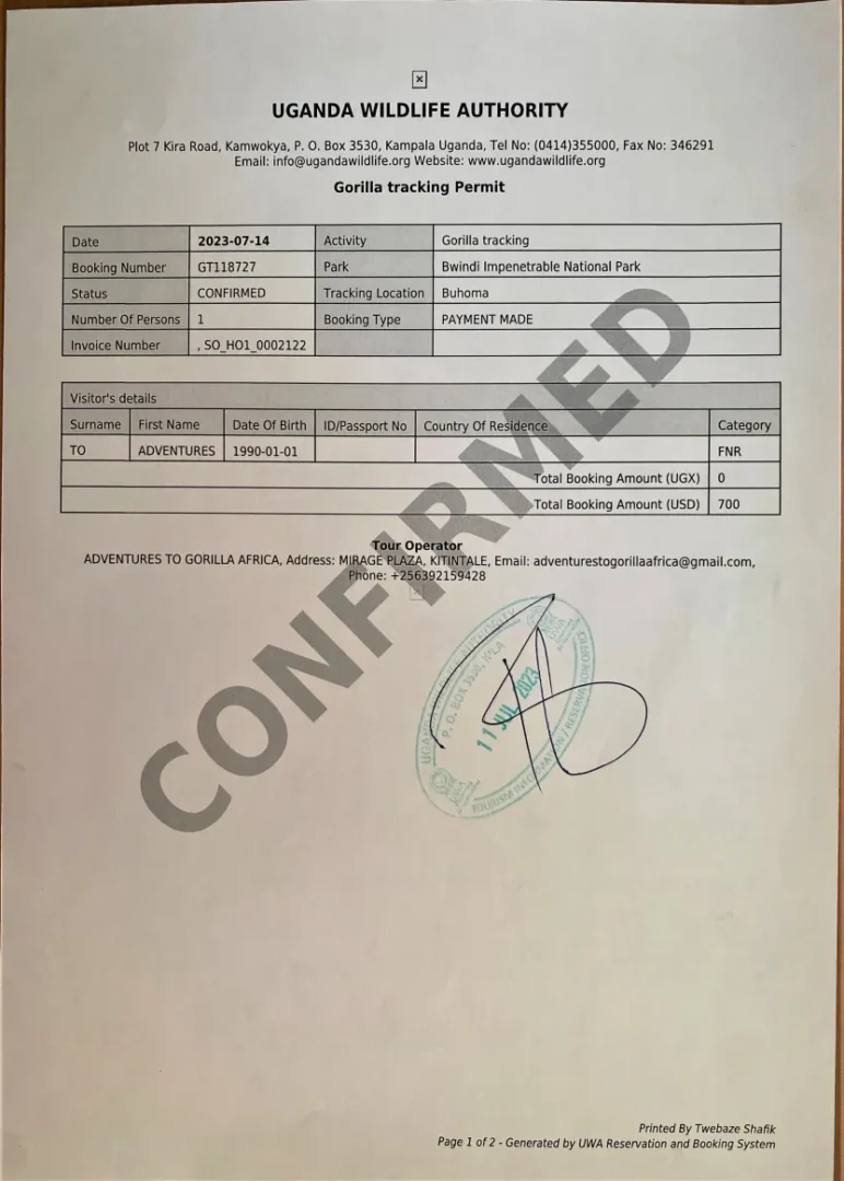 Gorilla Trekking Permit Logistics and Sector Access Based on Starting Point – Entebbe vs Kigali